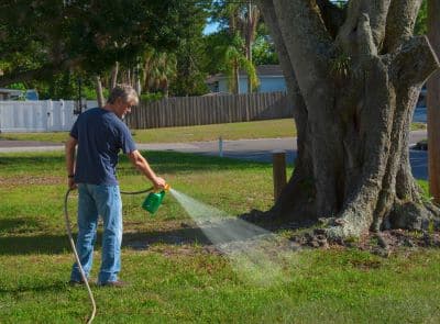 Man spraying the grass around the base of a large tree.